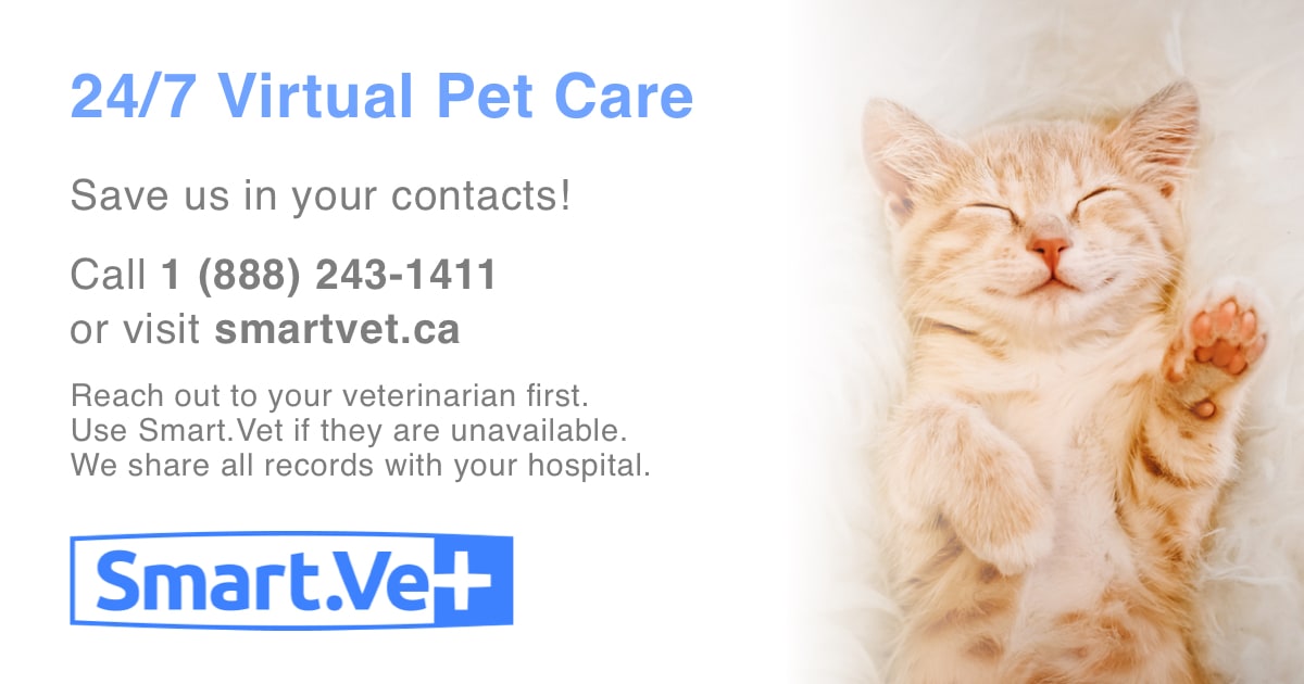 Smart.Vet Virtual Vet Support, Gravenhurst Veterinary Services